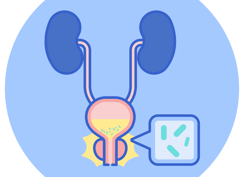 Urinary Tract Infection UTI